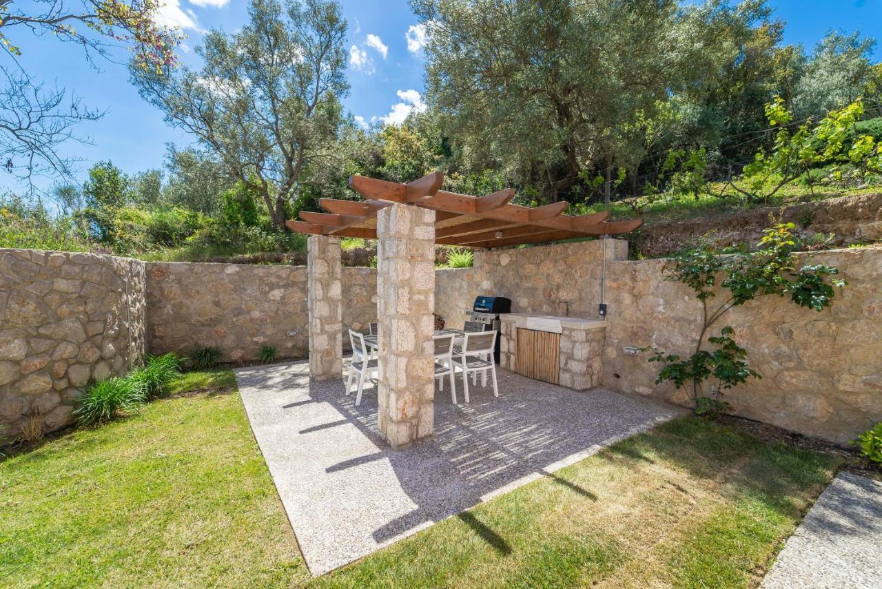 31 Blue Ionian Villas Apolpaina Exterior photo